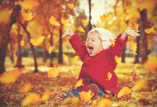 Autumn Newsletter – The Nervous System Demystified